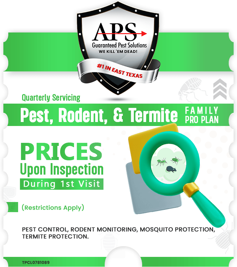 Pest, Rodent and Termite